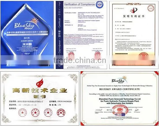 China Puxin Household 4m3 Biogas Anaerobic Digester