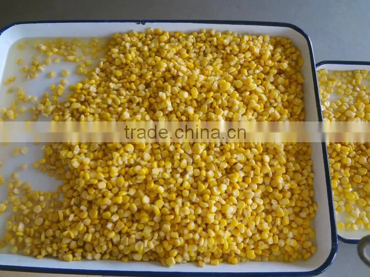 Good taste canned sweet corn A9/A10 for Europe Market