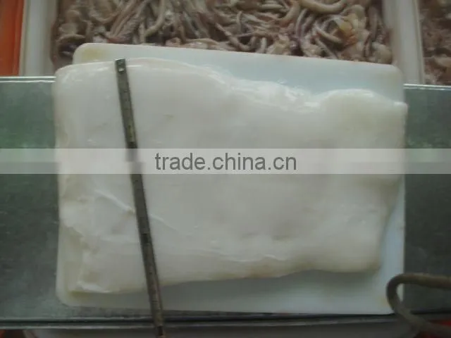 squid fillet