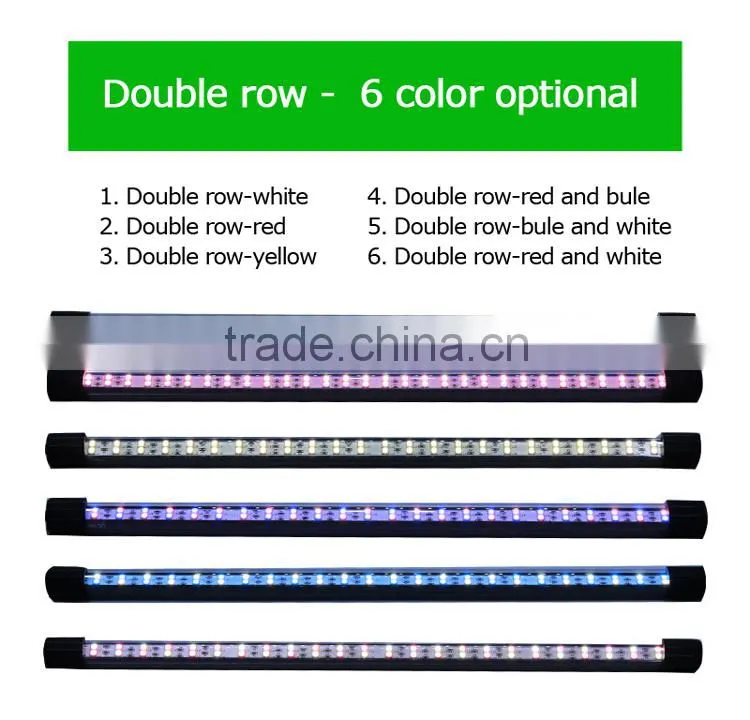 Arowana LED aquarium lights with colourful lights
