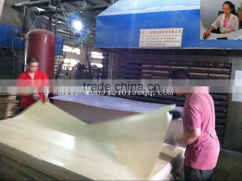 1220x2440x16mm Lamination hot press
