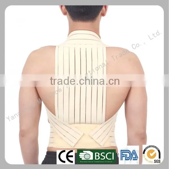 back and shoulders support belt
