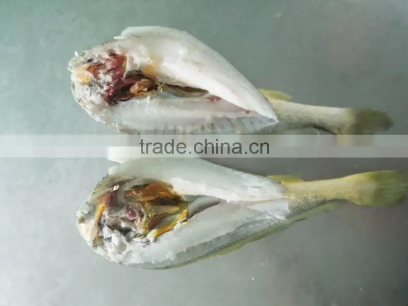 Croaker fish seafood frozen yellow croaker fish promoting price