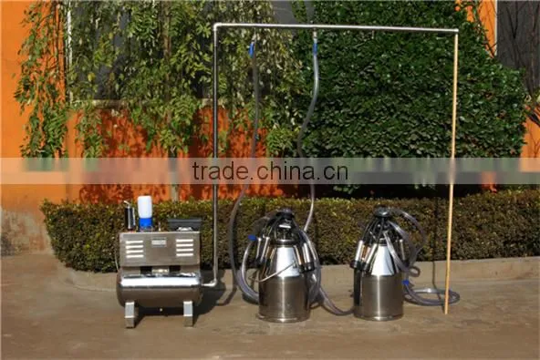 fixed pipeline milking machine group for two cows