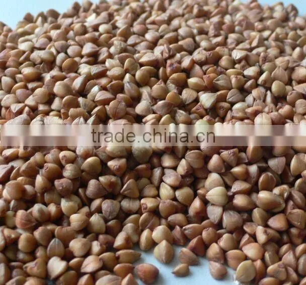 Roasted Buckwheat Kernels Market Price