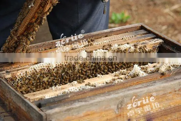 wood beehive from beekeeping equipment manufacture