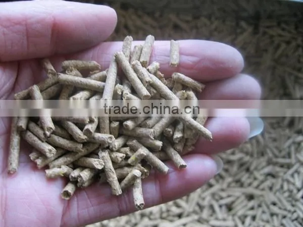 Small Chicken Fish Animal Feed Pellet Making Machine