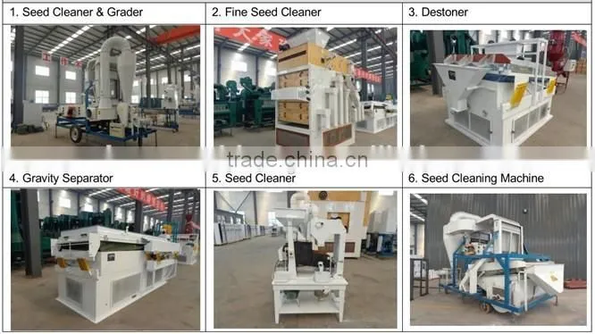 Beans Pulse Polisher / Bean Pulse Polishing Machine (Hot Sale in Africa)