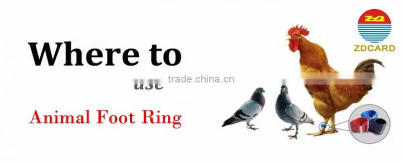 HITAG-S256 Animal RFID Ring Tags For Bird And Pigeon With Factory Price Free Sample