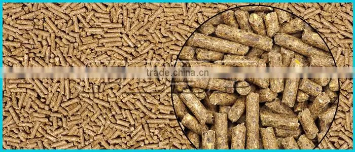 Fish Food Pellet Making Machine/Carp Feed Pellet Mill Machine Price