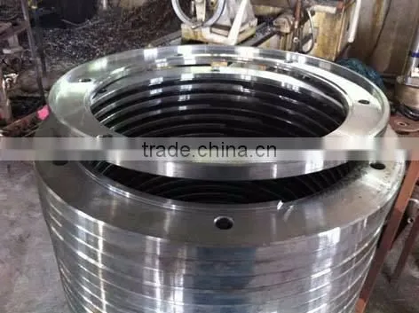 OEM Die Forging Stainless Steel Large Ring
