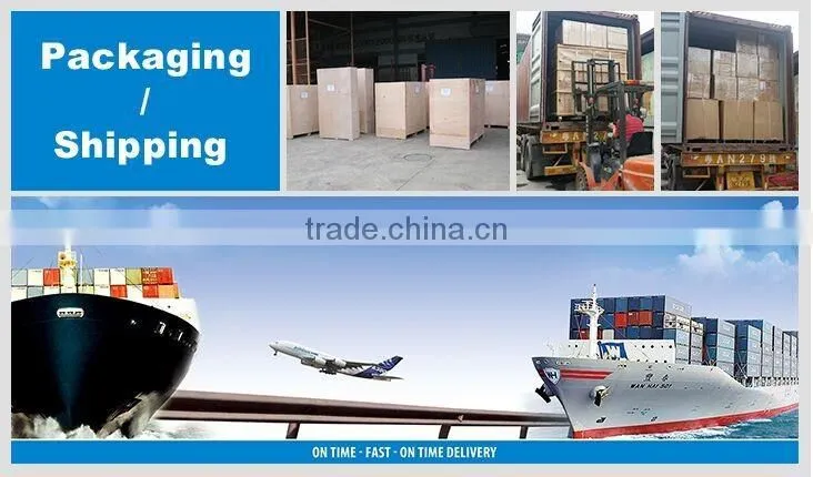 Taiwan Teemyeah Vegetable Washing Machine Leafy Vegetable Production Line Good Quality