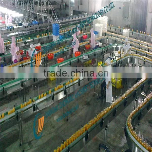 canned fruit and vegetables making/processing production line