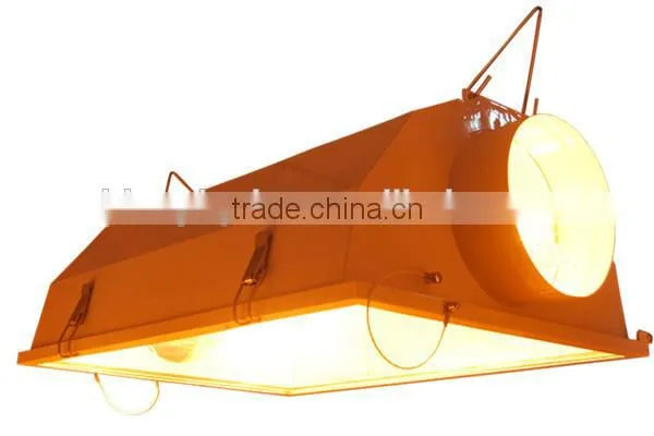 CE Authorized 1000w 600w 400w 250w HPS Grow Light Bulbs/HPS Grow Lighting/Grow Light Lamp