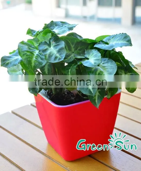 Customized Garden Decorating Plastic Plant pots for sale