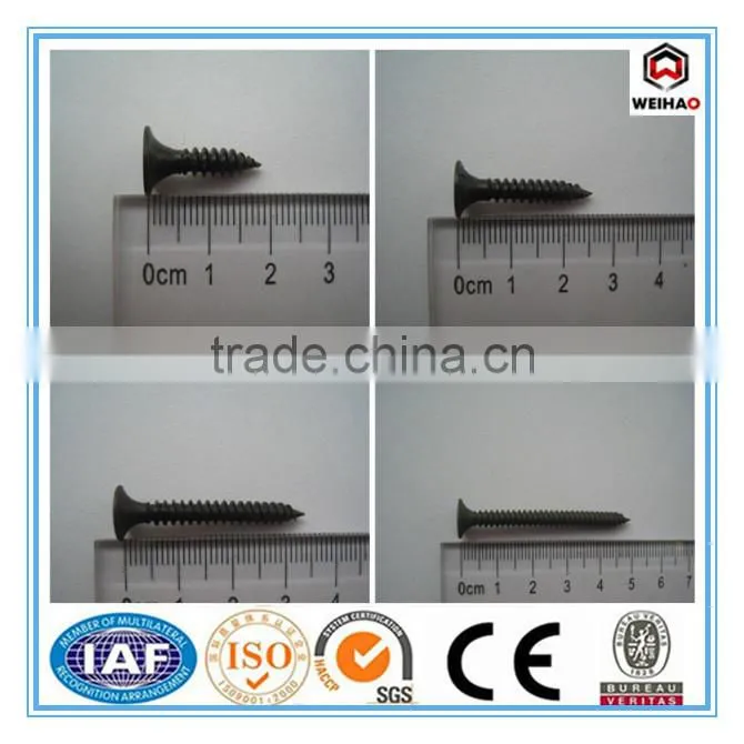 High Qualiy Drywall Screw by Factory