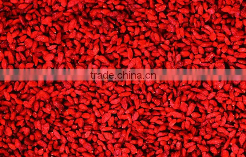goji berry