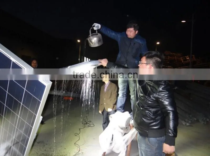 30W LED with 300W Fan, wind solar hybrid street light,Gold China supplier factory price