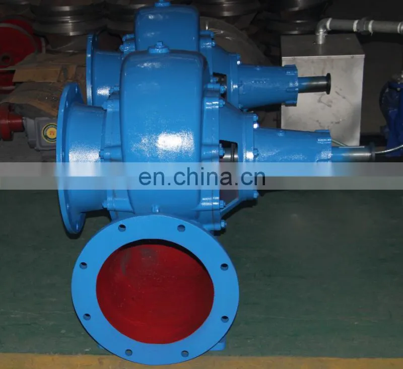 Agricultural Irrigation water pump 10 inches 250HW-7S
