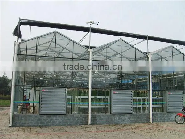 Insulated Tempered Glass Greenhouse