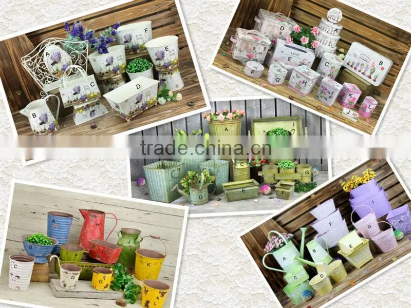 2014 new style watering can flower pot
