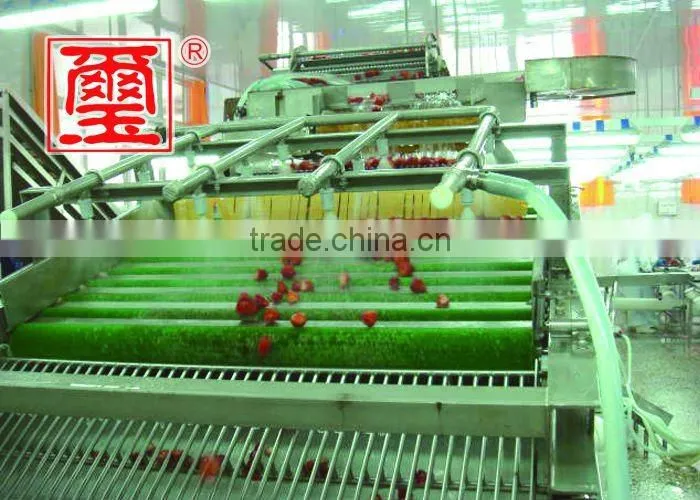 2016 top grade quality frozen strawberry
