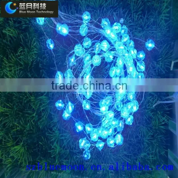 led globe string lights outdoor for holiday/ festival/ christmas decoration