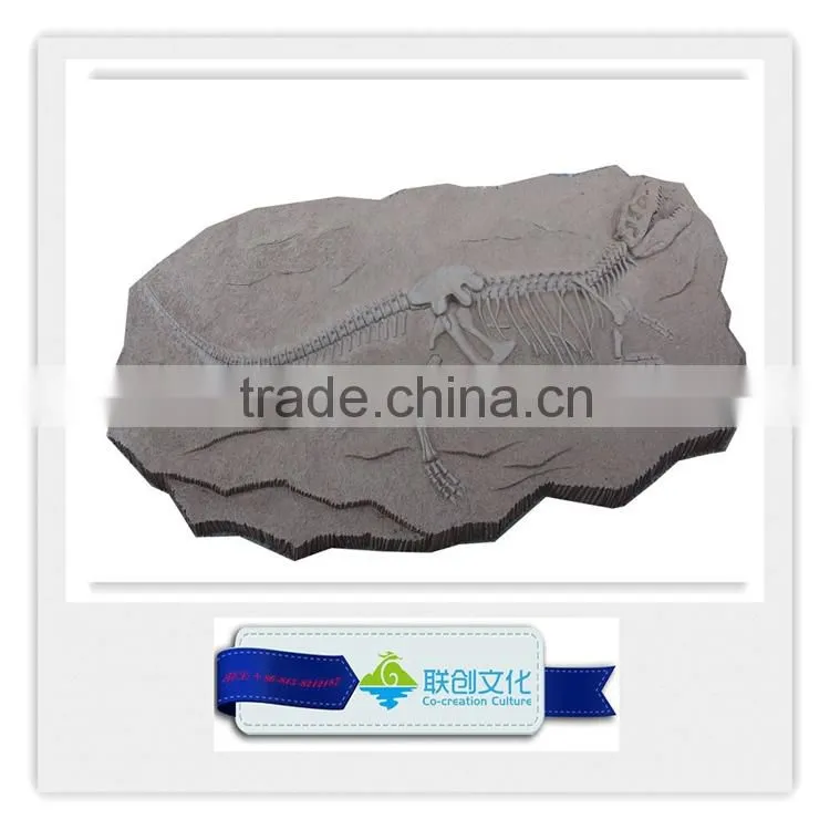 Popular bone fossil replica of dinosaur bones