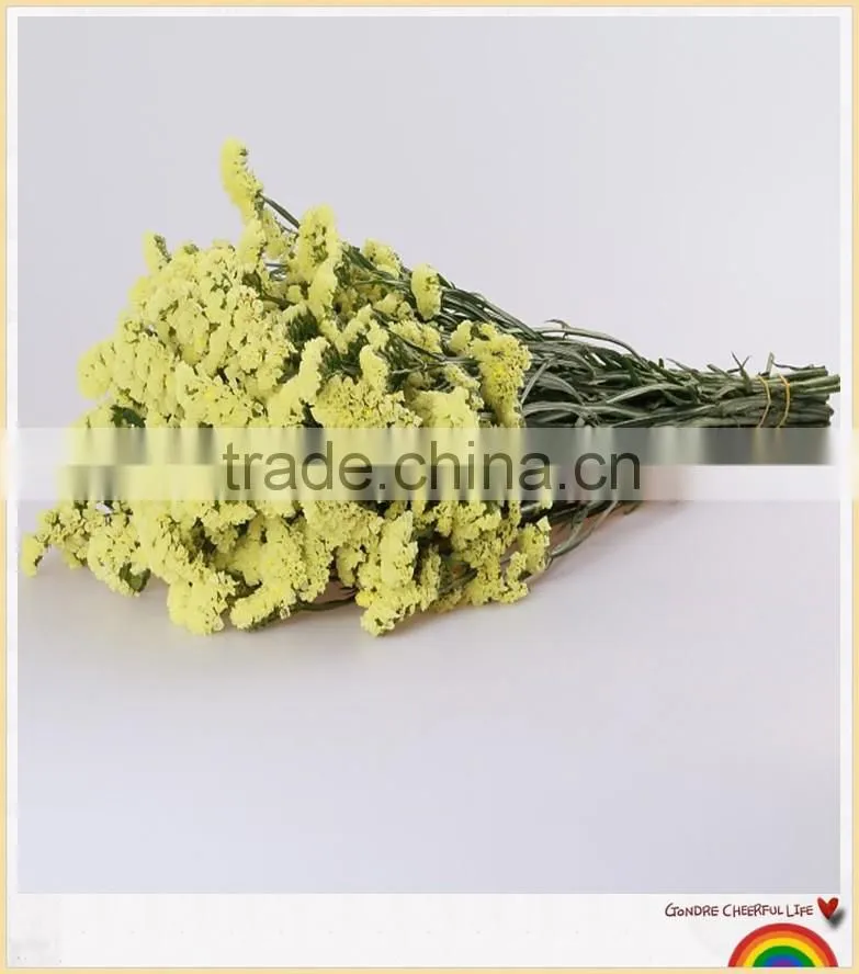 forget me not flower to make flower bouquets