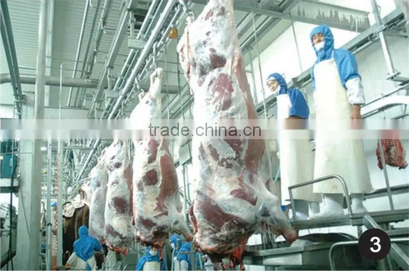 cow slaughter slaughter line for cattle cattle slaughter line