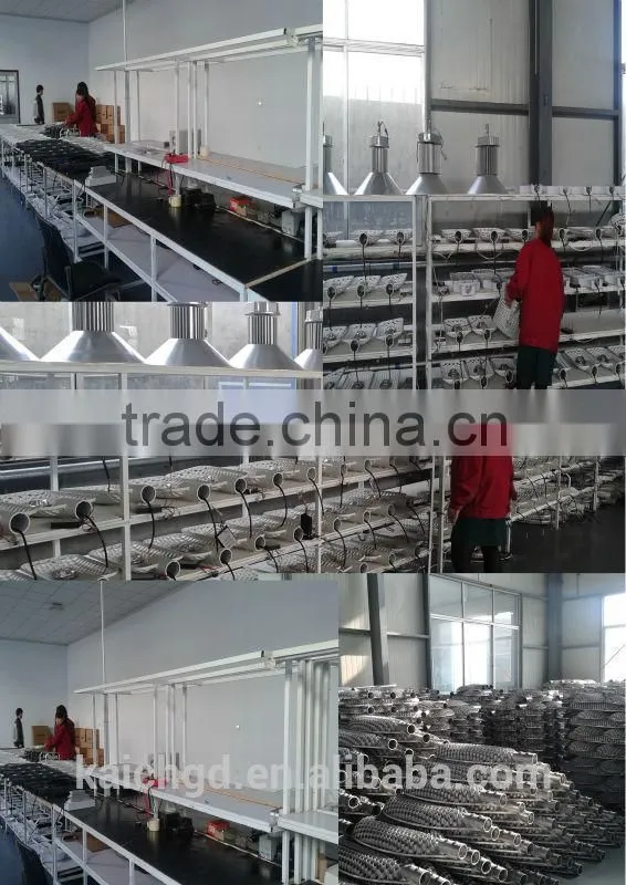 100W Street Light COB LED Street Light Outdoor Light