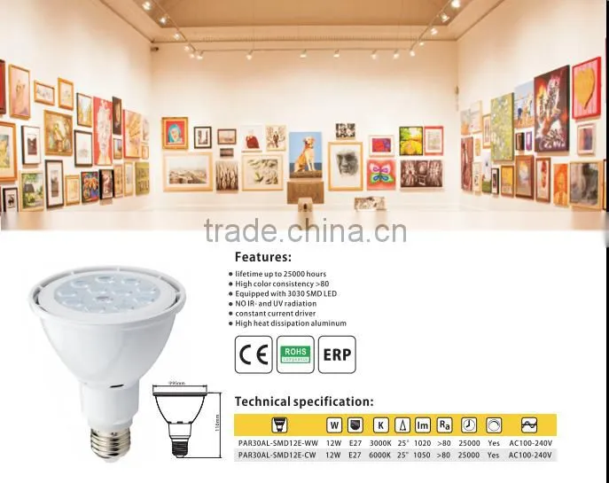 Shenzhen factory wholesale high quality 12w 1100lm led par30