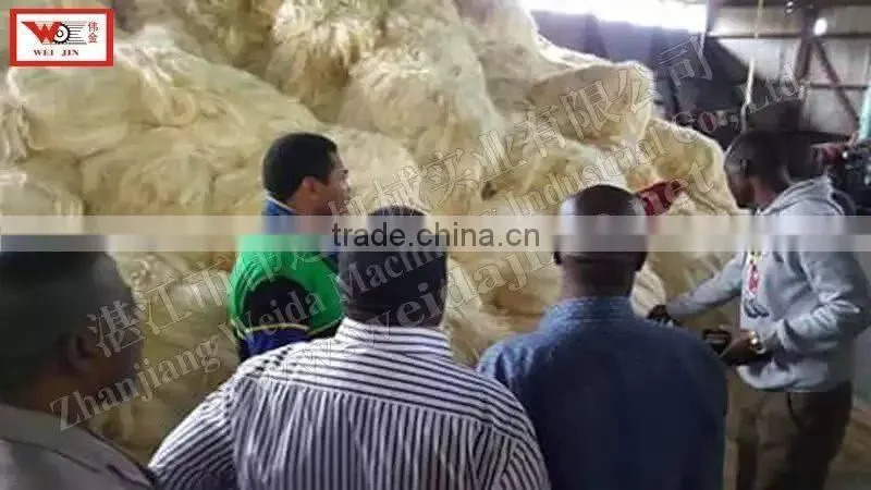 ZGM-4402 Sisal Fiber Extractor Machine 2t/h In Kenya