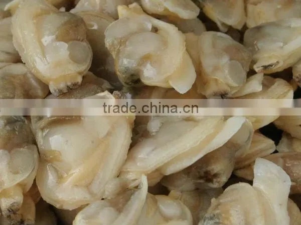 frozen shell clam meat