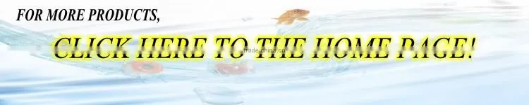 Frozen Catfish Whole Round