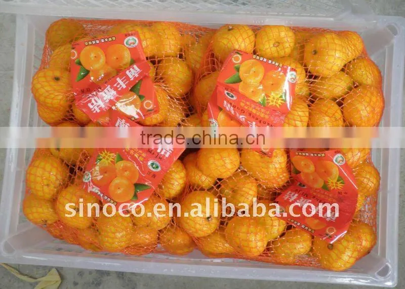 Baby Mandarin in China