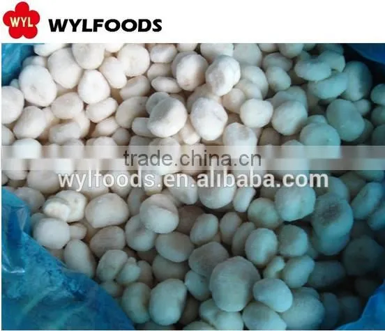 2015 new price frozen oyster mushrooms