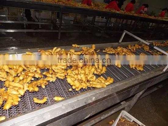 2016crop air dried ginger price