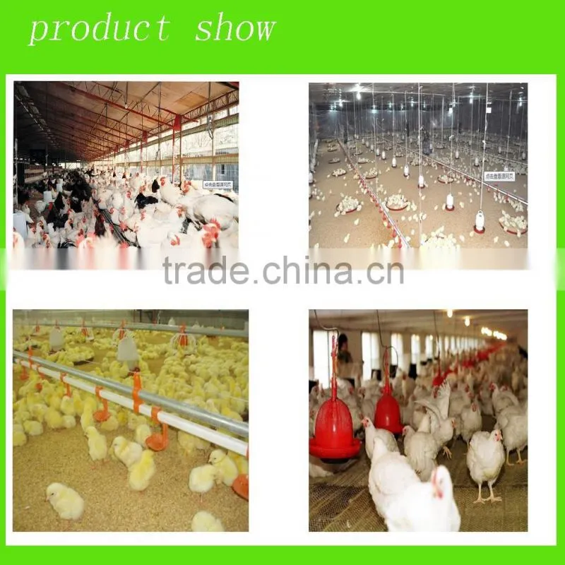 broiler feeder pan system for poultry farm