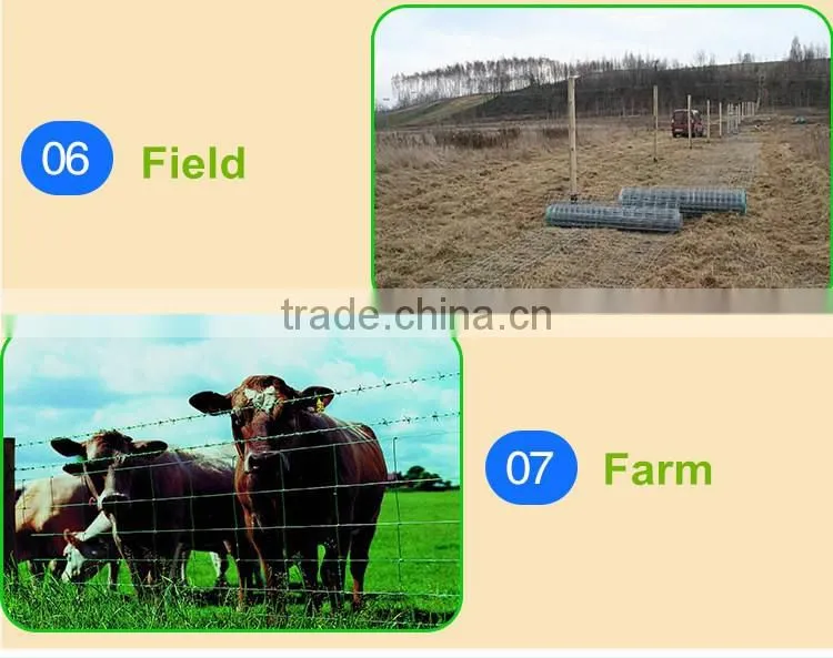 Get $1000 Coupon Metal wire mesh factory, welded mesh 10x10