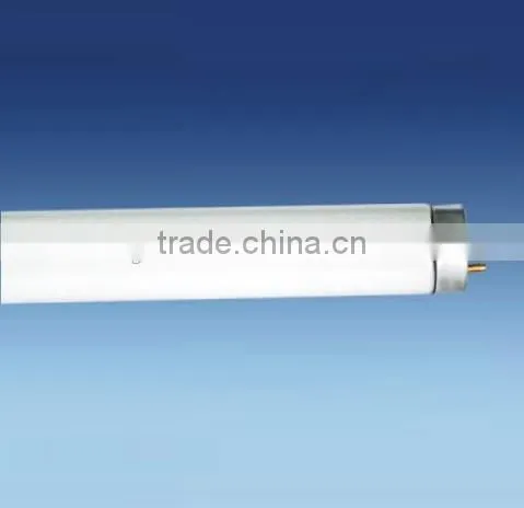 T8 Fluorescent Lamp Fitting