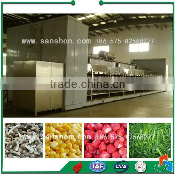 China Cherry IQF Quick Freezer,Sweet Corn Quick Freezer,IQF Freezer