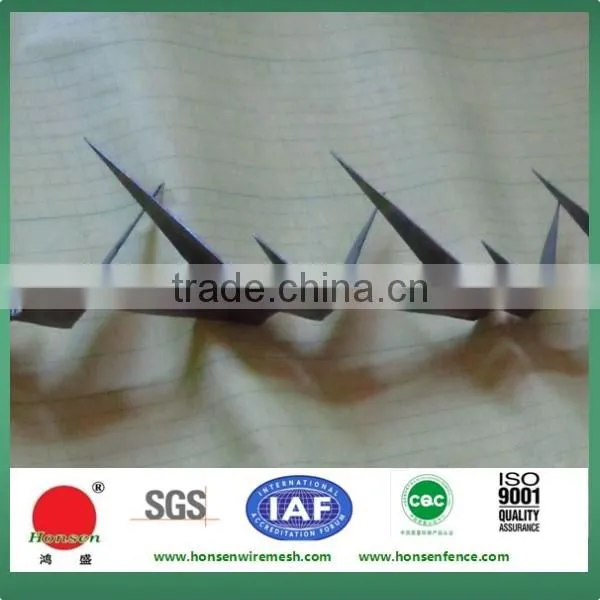 Anti climb Sharp Wall Spike on top of Wall and Fence