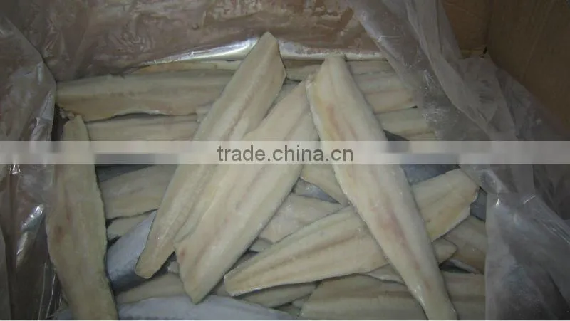 Frozen Spanish mackerel fillets seafood mackerel
