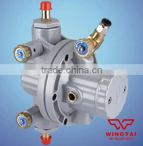 Diaphragm Pump With Buffer Tank
