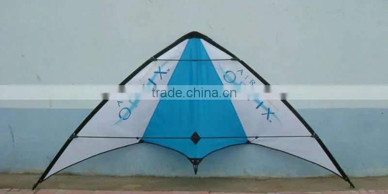 printed stunt kite