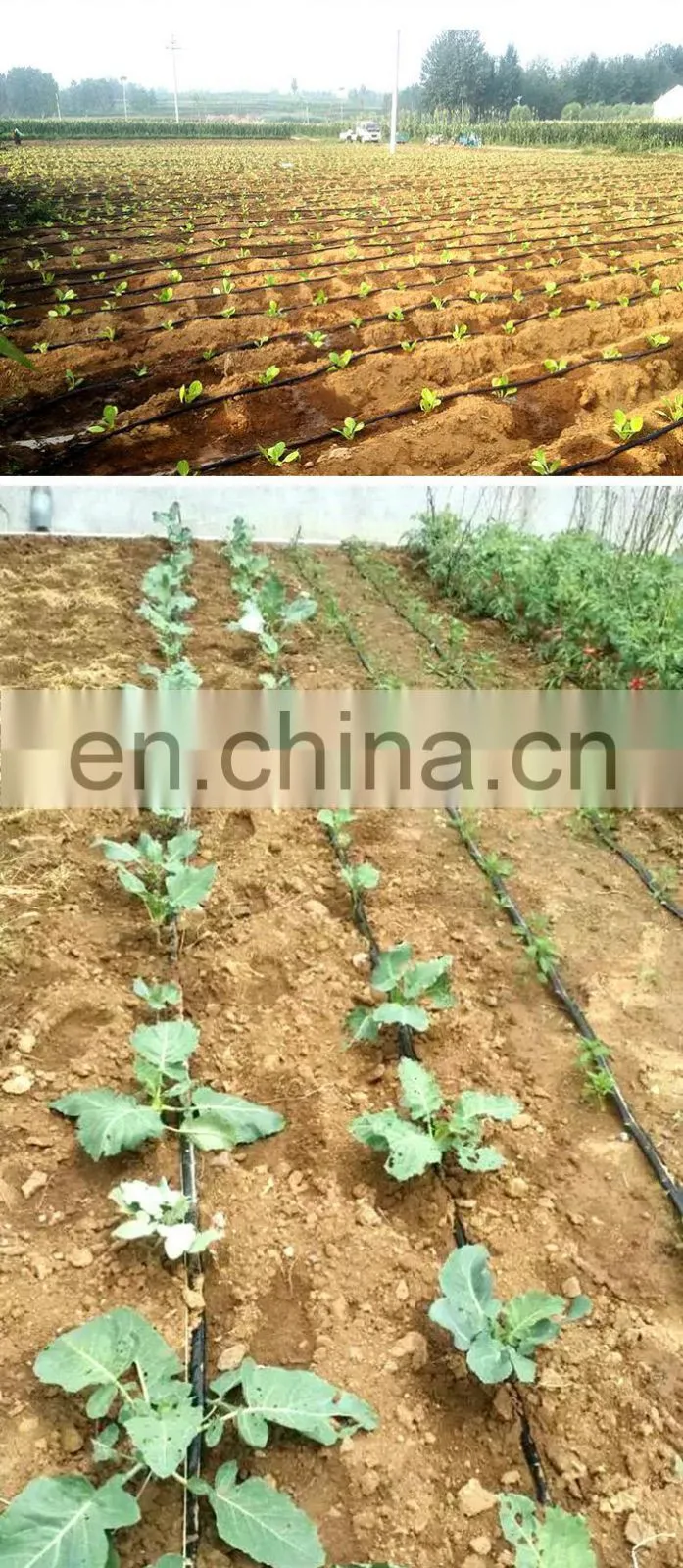 16PE plastic patch drip irrigation system tape for fruit trees
