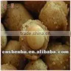 sugar coating machine/coating machine