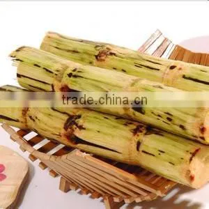 Profession Stainless steel sugar cane juicer for sale