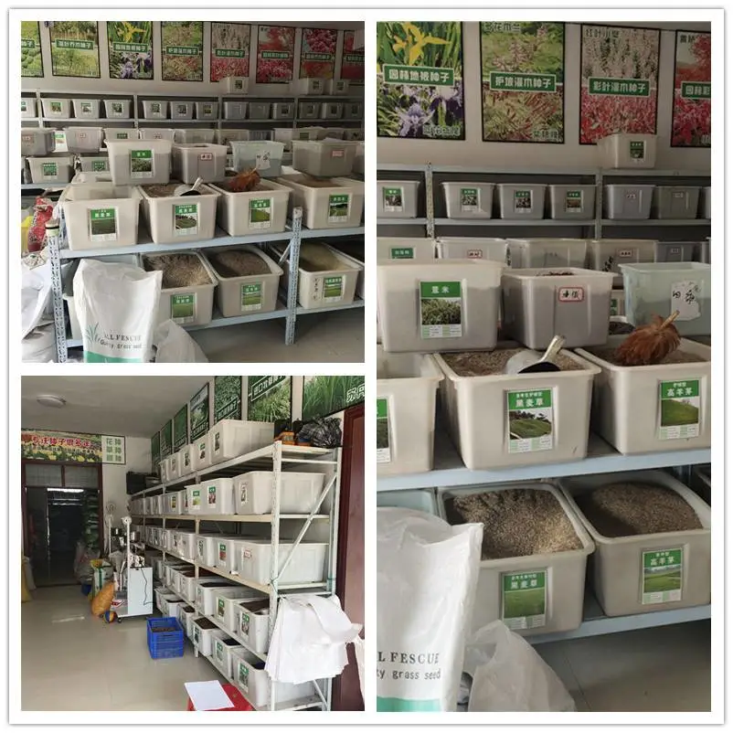 Suqian Dahuaidi Landscape Greening Co., Ltd. company overview - view 1